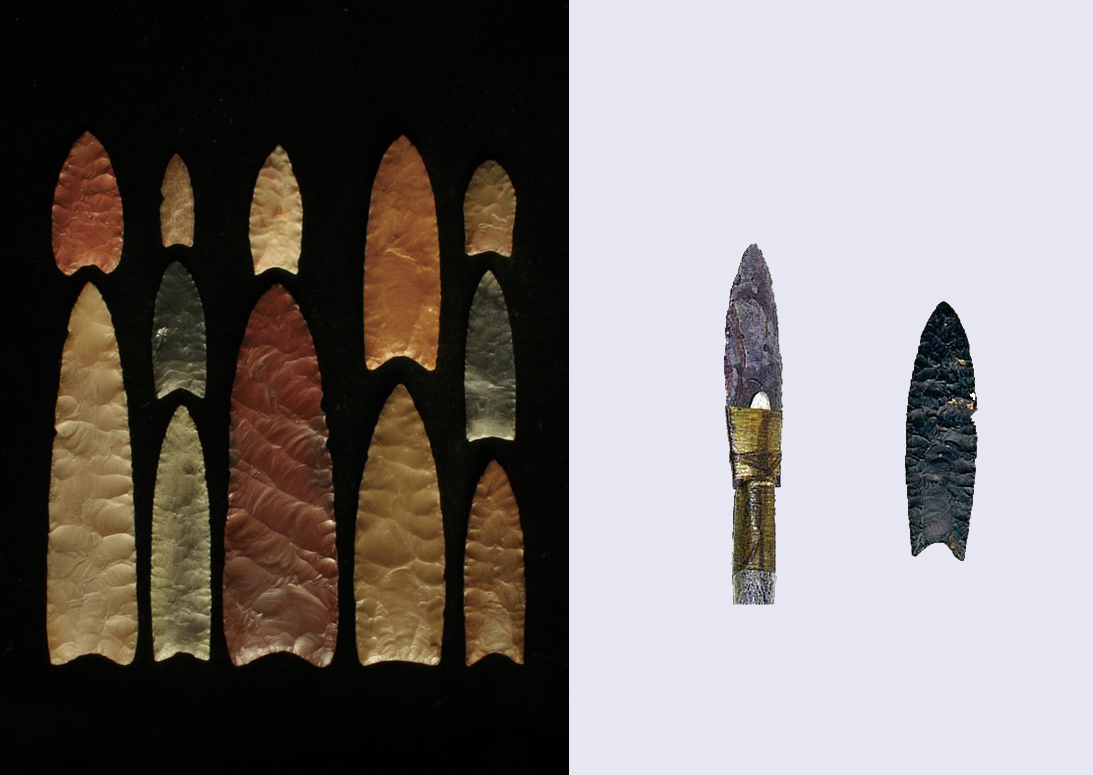 石器时代历史文化插画元素 - 模板 - Canva可画