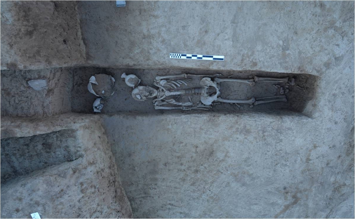 武定江西坟遗址