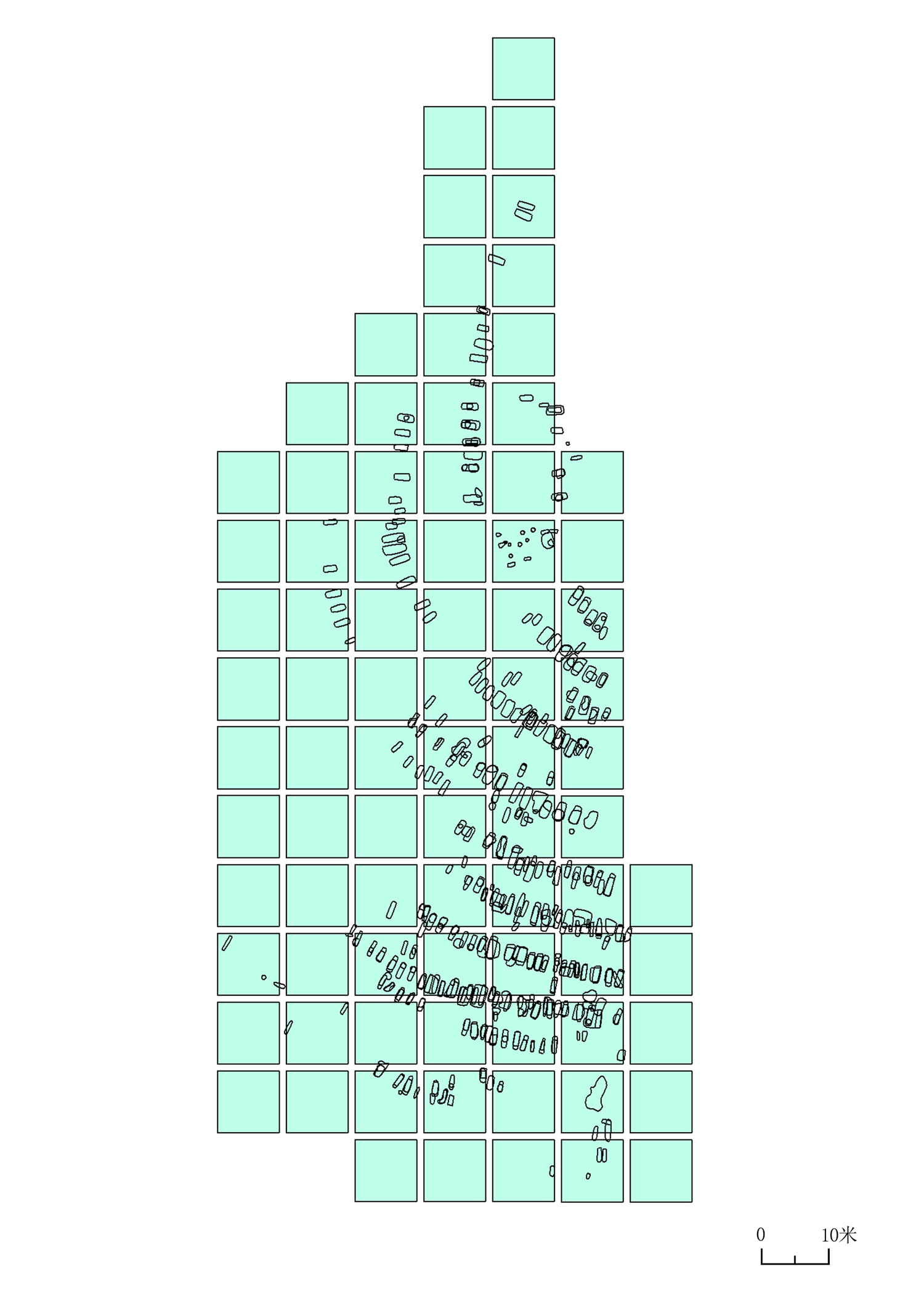 墓地探方及遗迹分布图
